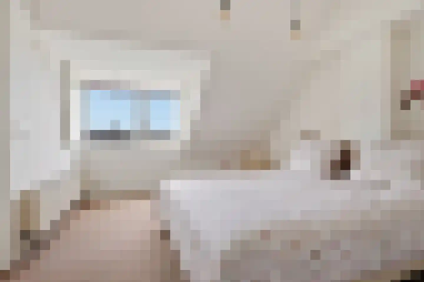 Stetweg 19 Wijk aan Zee thumbnail 38
