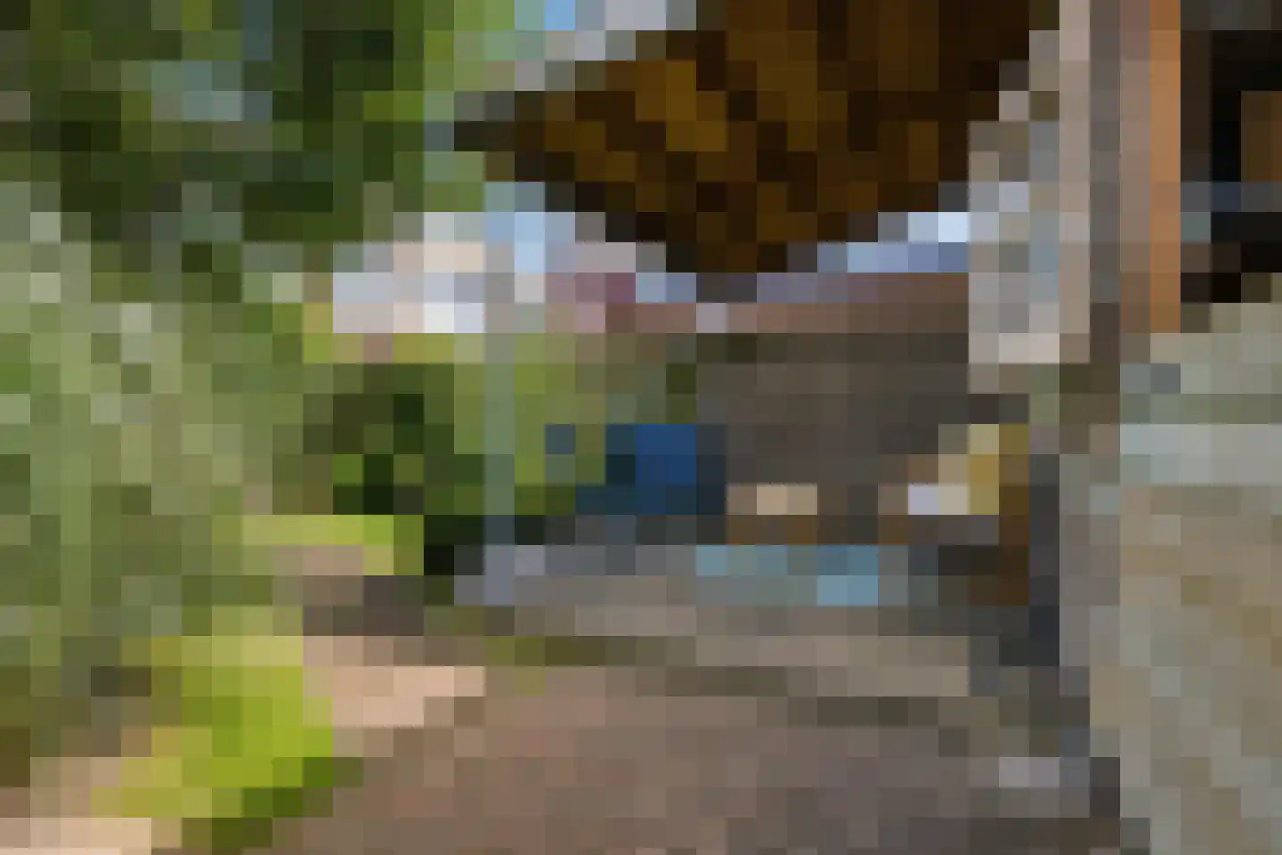 Stetweg 19 Wijk aan Zee thumbnail 45