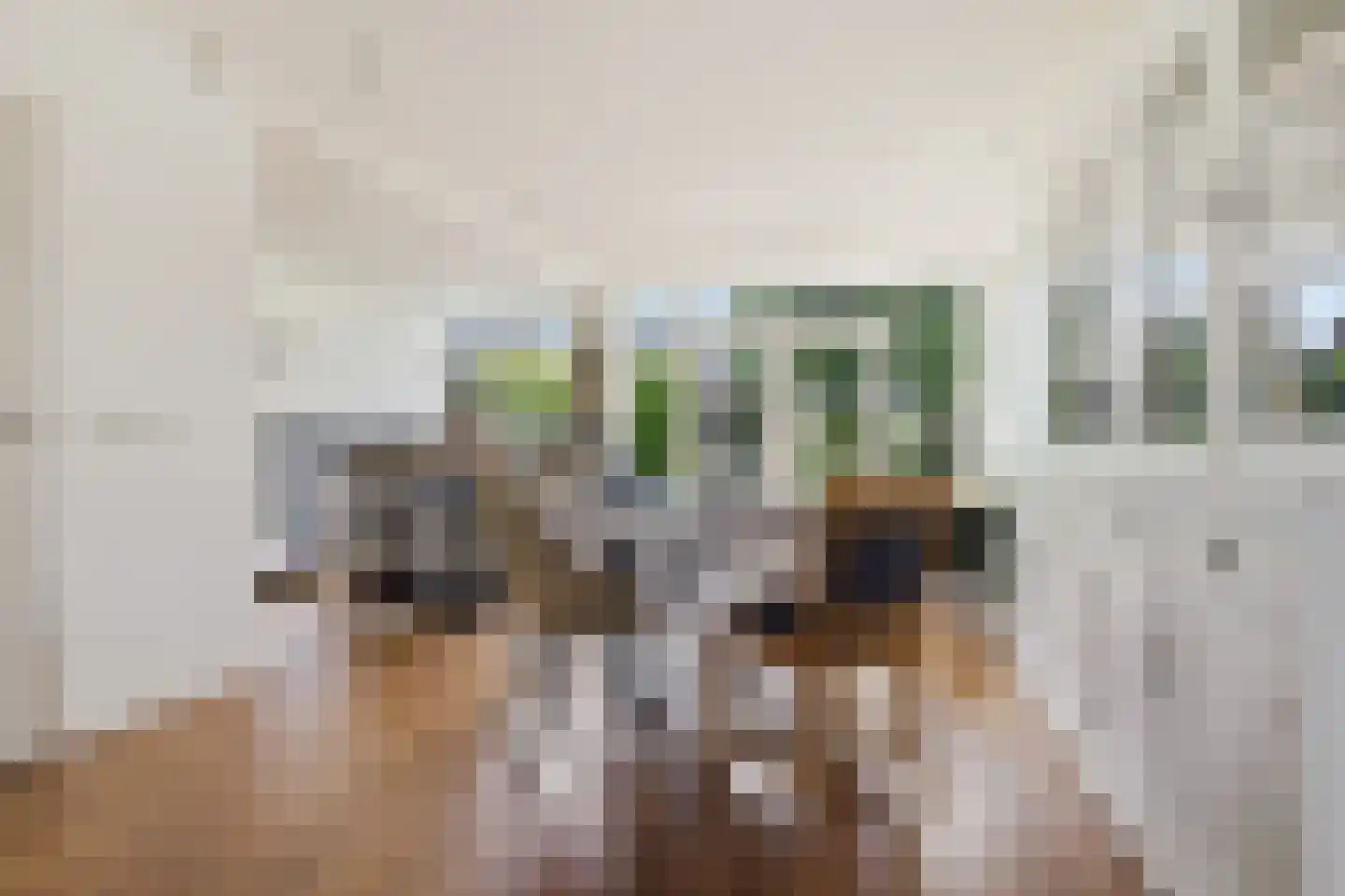 Stetweg 19 Wijk aan Zee thumbnail 7