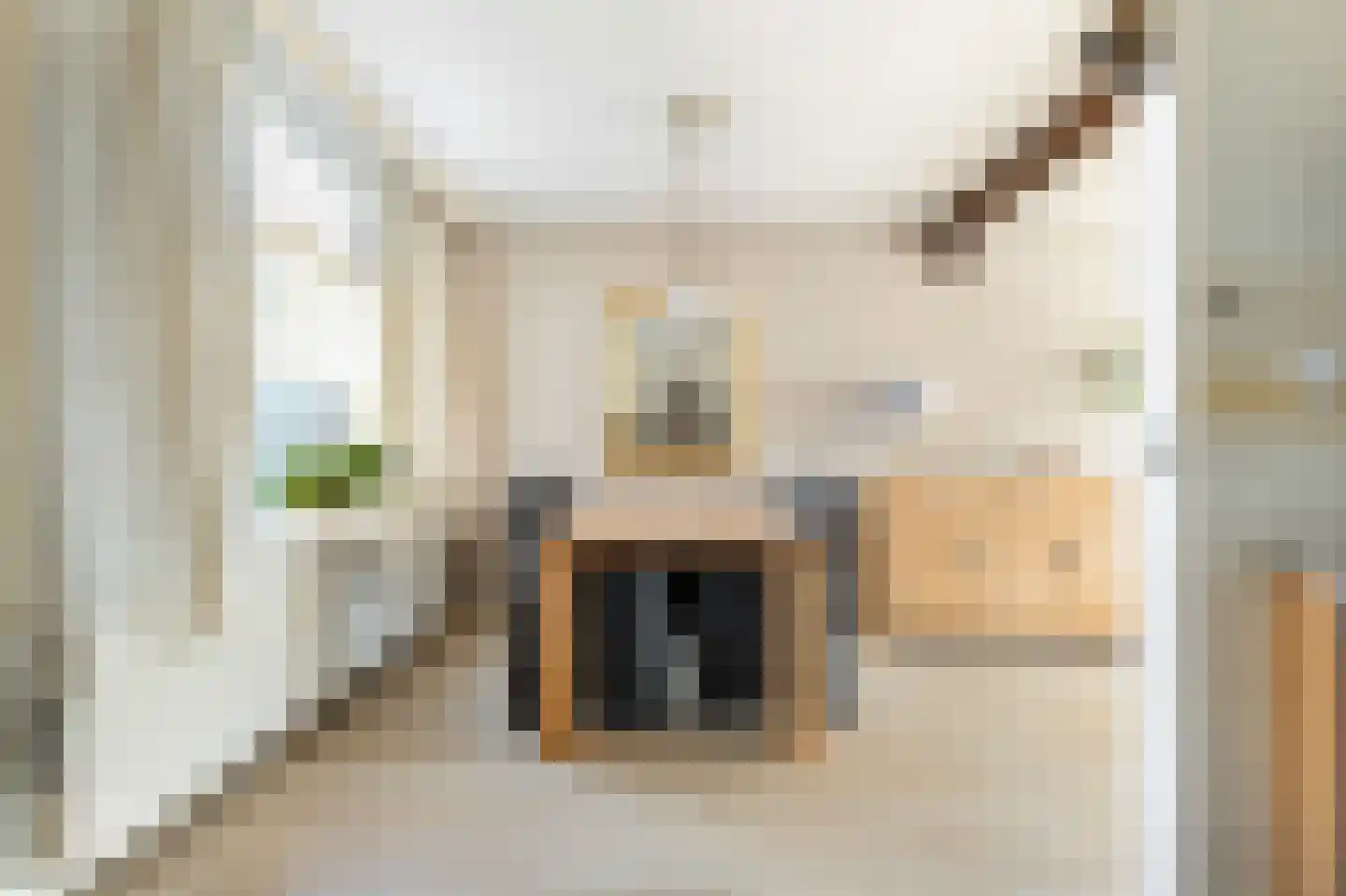 Stetweg 20 Castricum thumbnail 11