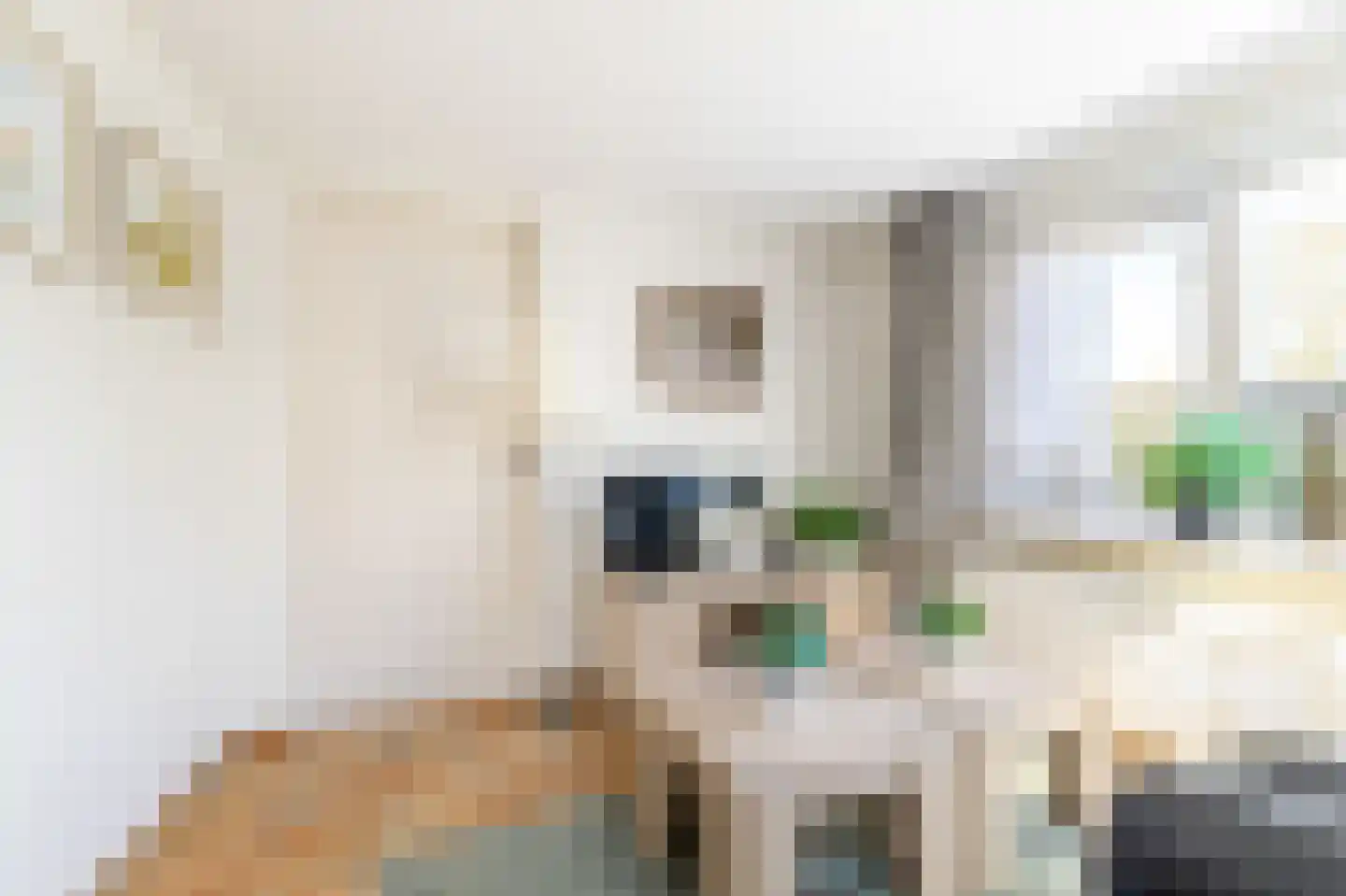Stetweg 20 Castricum thumbnail 20