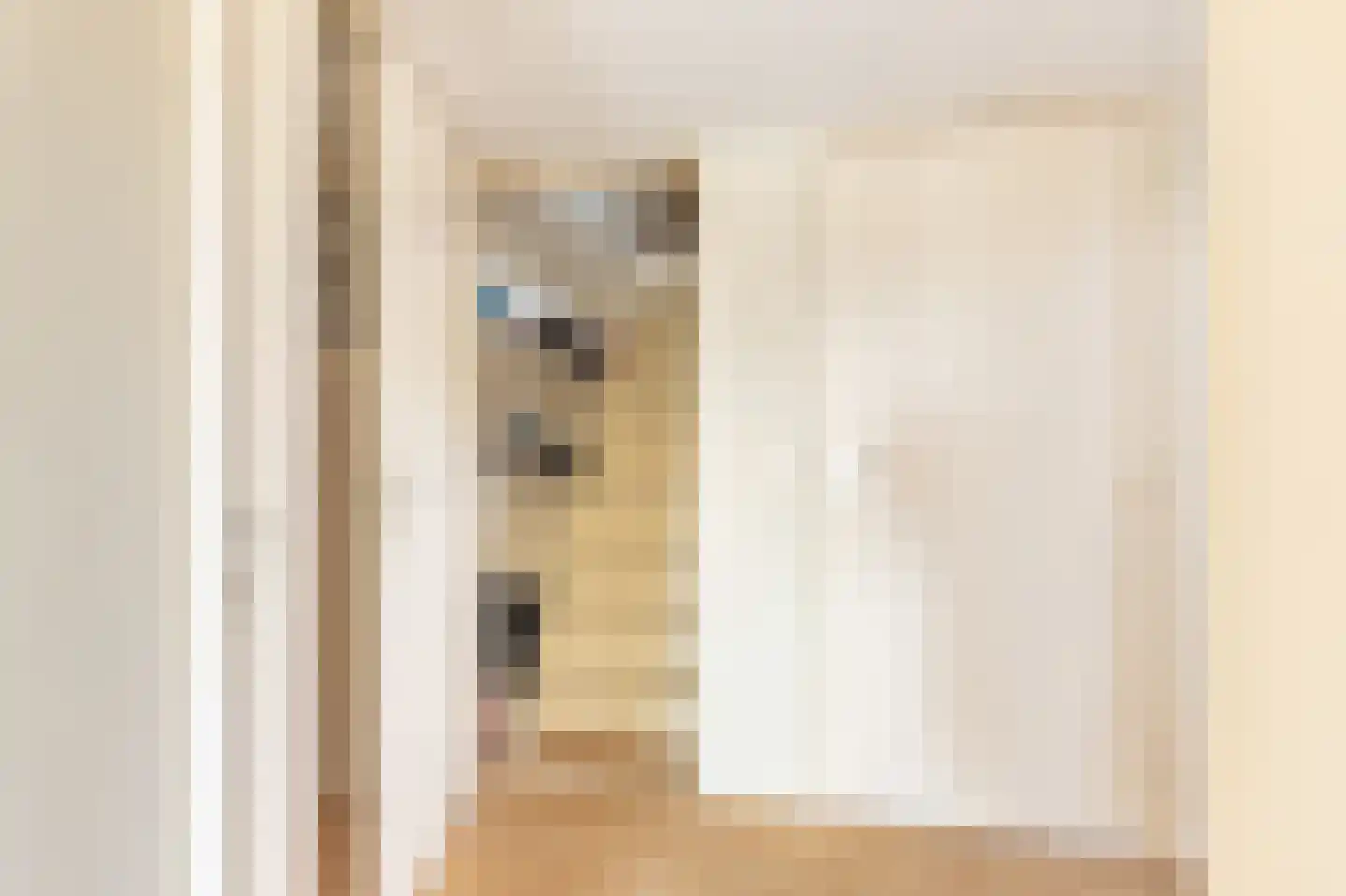 Stetweg 20 Castricum thumbnail 34