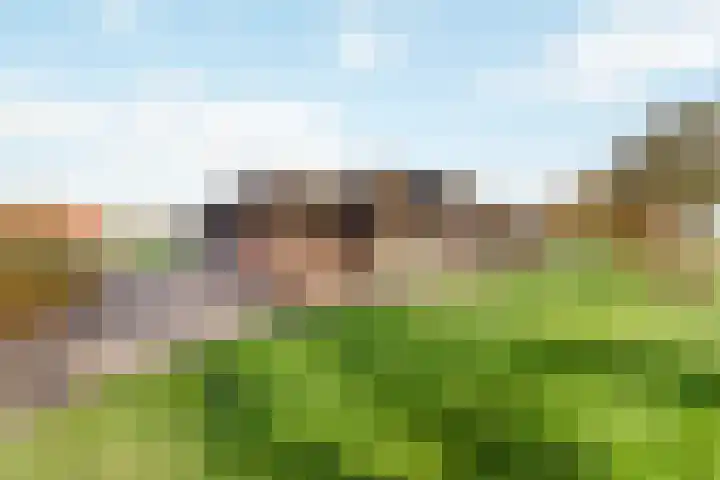 Steunenbergerweg 1 b Olst thumbnail 23