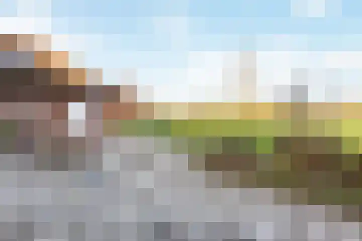 Steunenbergerweg 1 b Olst thumbnail 25