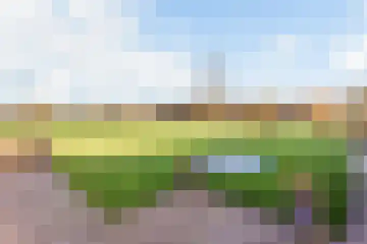 Steunenbergerweg 1 b Olst thumbnail 27