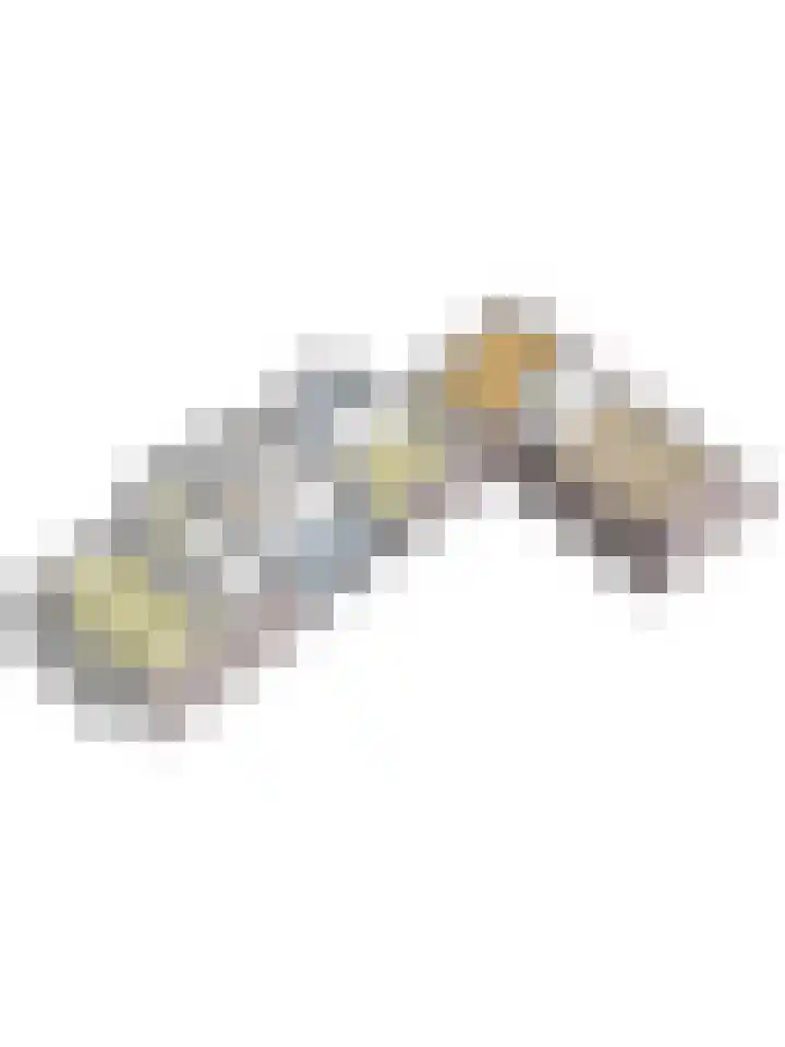 Steunenbergerweg 1 b Olst thumbnail 31