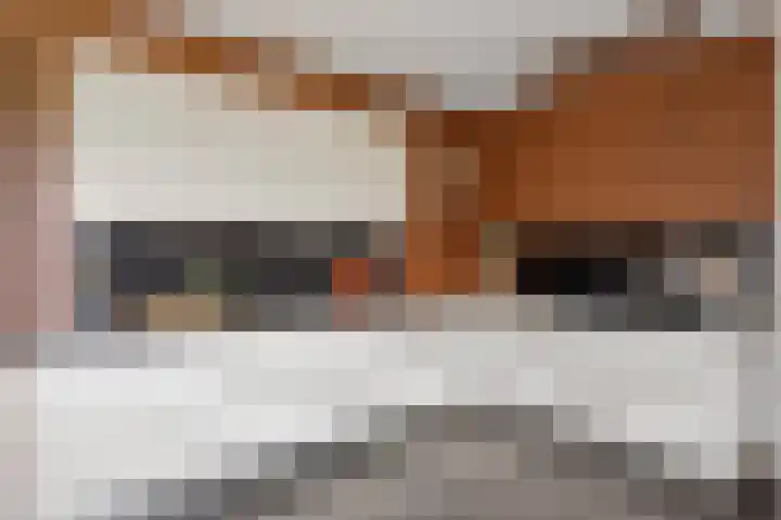 Steunenbergerweg 1 b Olst thumbnail 4