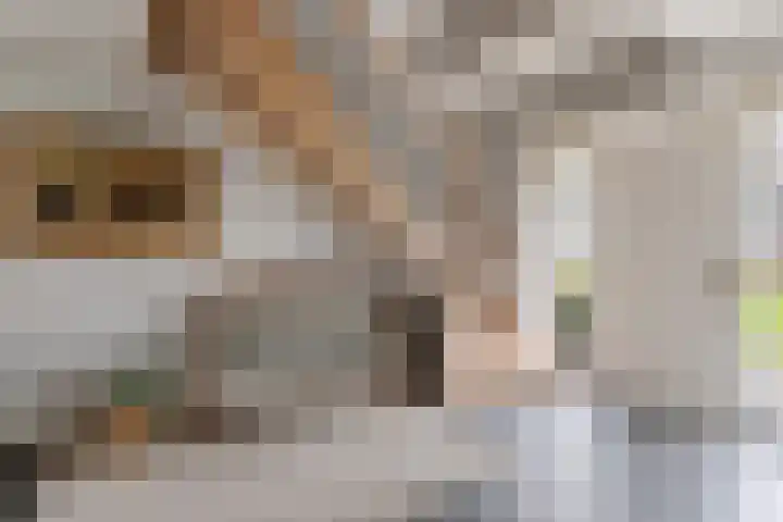 Steunenbergerweg 1 b Olst thumbnail 5