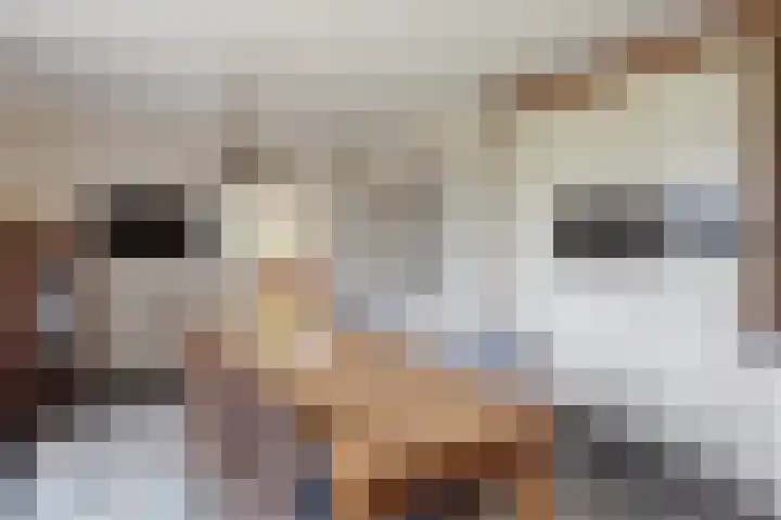 Steunenbergerweg 1 b Olst thumbnail 6