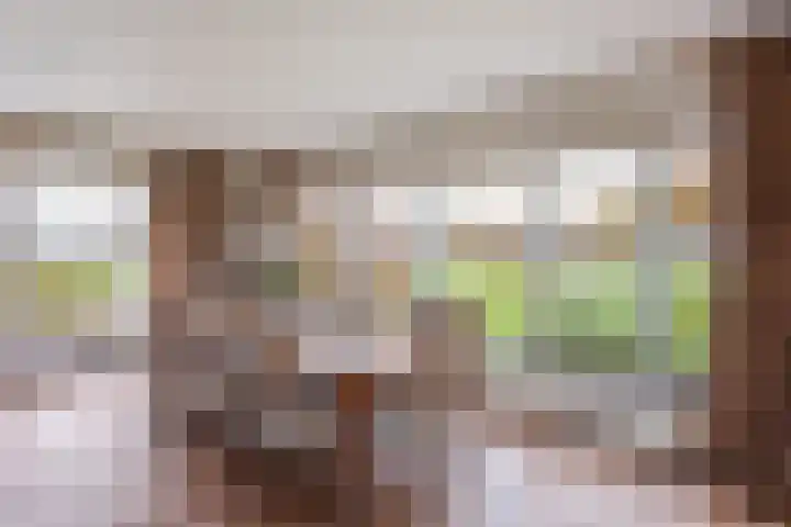 Steunenbergerweg 1 b Olst thumbnail 8