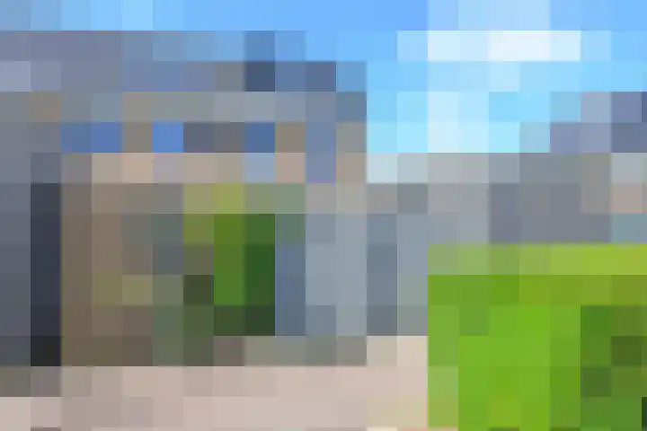 Steur 1 Schagen thumbnail 10