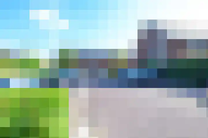 Steur 1 Schagen thumbnail 11