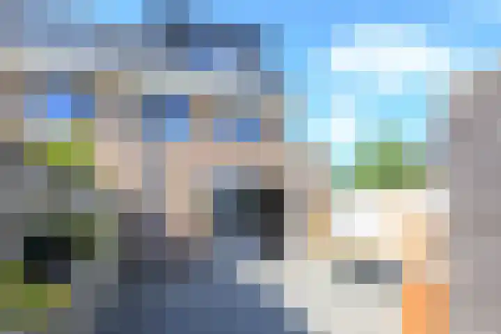 Steur 1 Schagen thumbnail 12