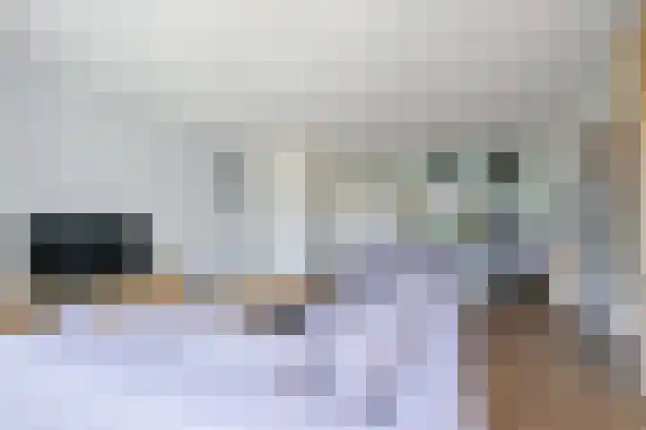 Steur 1 Schagen thumbnail 13