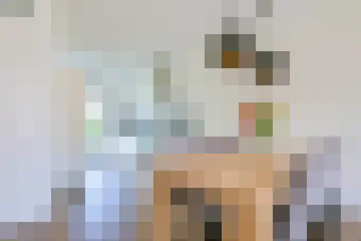 Steur 1 Schagen thumbnail 14