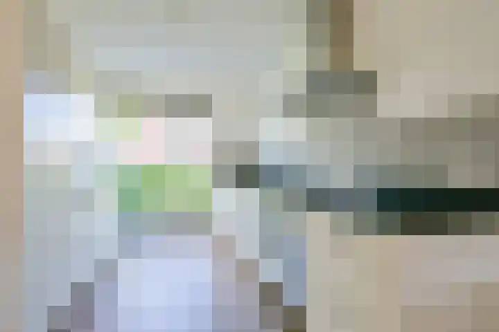 Steur 1 Schagen thumbnail 15