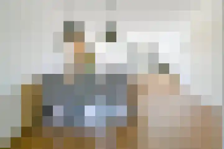 Steur 1 Schagen thumbnail 17