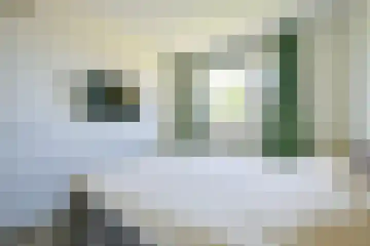 Steur 1 Schagen thumbnail 21