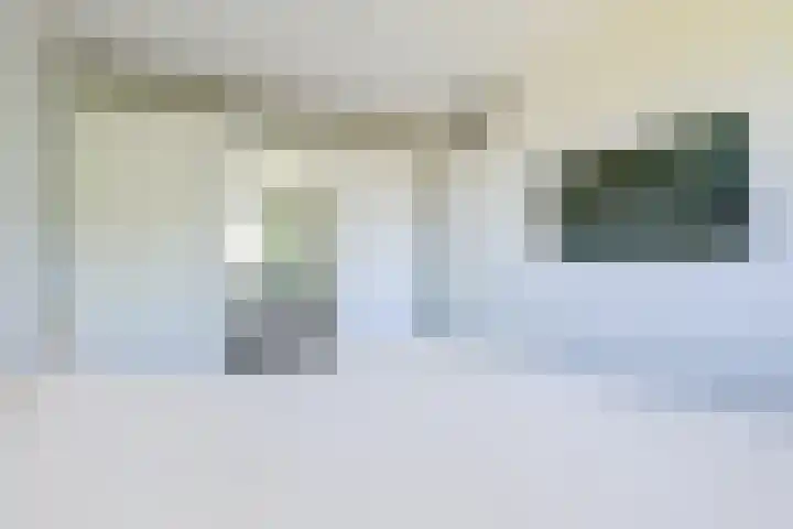 Steur 1 Schagen thumbnail 22