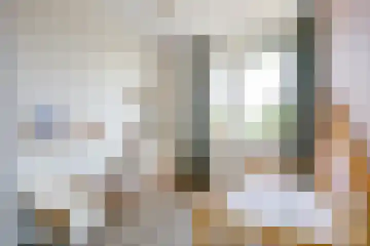 Steur 1 Schagen thumbnail 23