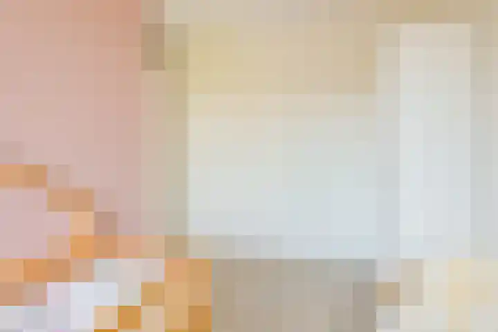 Steur 1 Schagen thumbnail 24