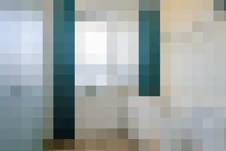 Steur 1 Schagen thumbnail 25