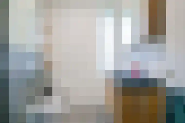 Steur 1 Schagen thumbnail 26