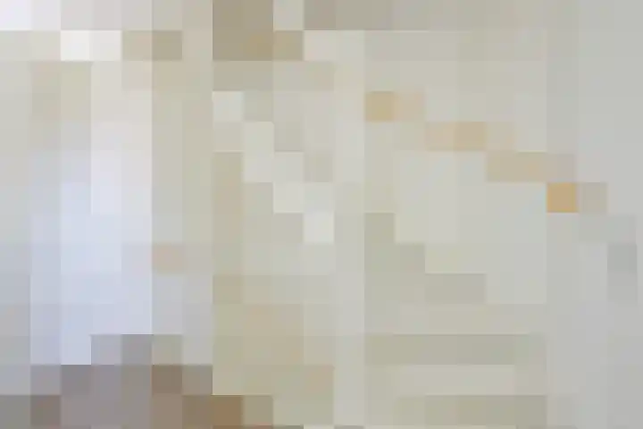 Steur 1 Schagen thumbnail 28
