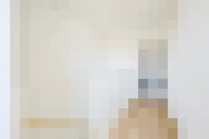 Steur 1 Schagen thumbnail 29