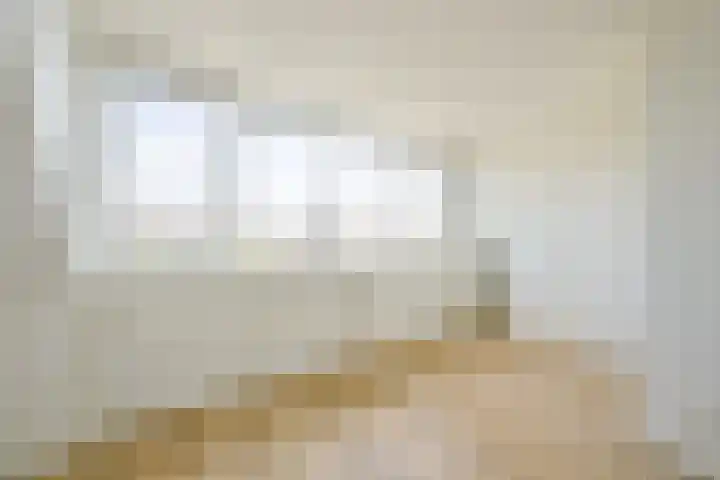 Steur 1 Schagen thumbnail 30
