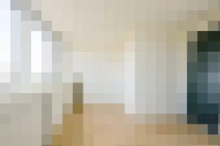 Steur 1 Schagen thumbnail 31
