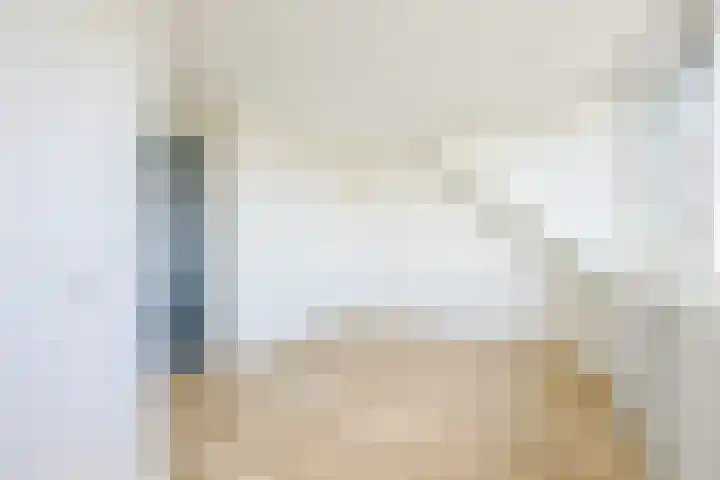 Steur 1 Schagen thumbnail 32