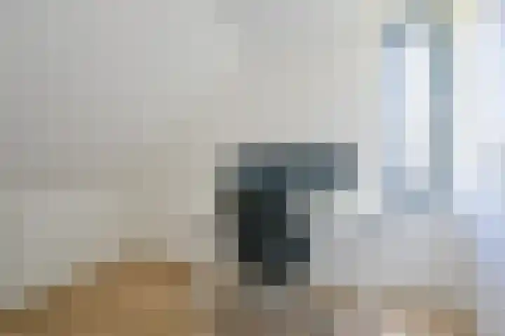 Steur 1 Schagen thumbnail 33