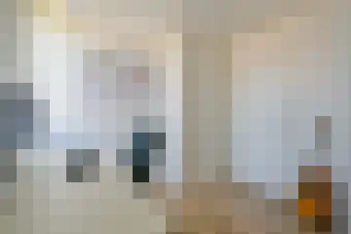 Steur 1 Schagen thumbnail 34