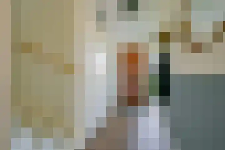 Steur 1 Schagen thumbnail 35