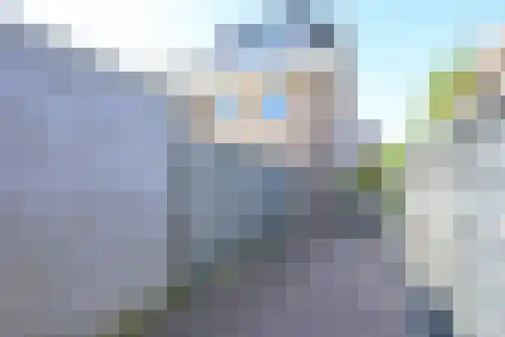 Steur 1 Schagen thumbnail 36