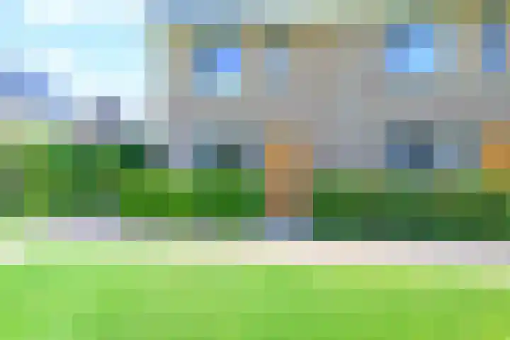 Steur 1 Schagen thumbnail 4