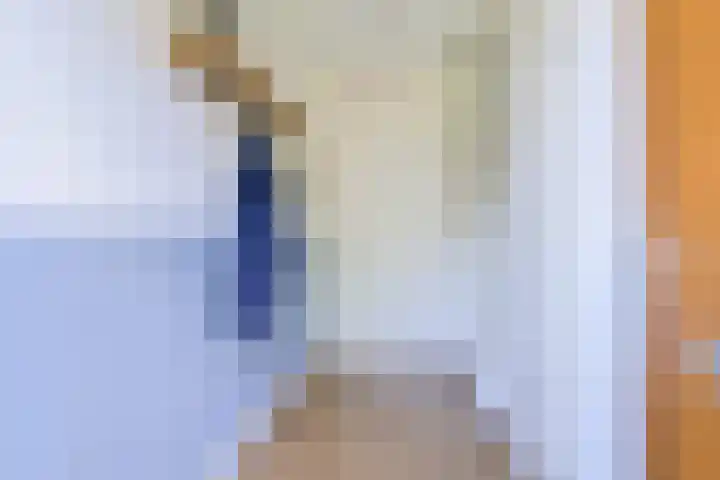 Steur 1 Schagen thumbnail 5