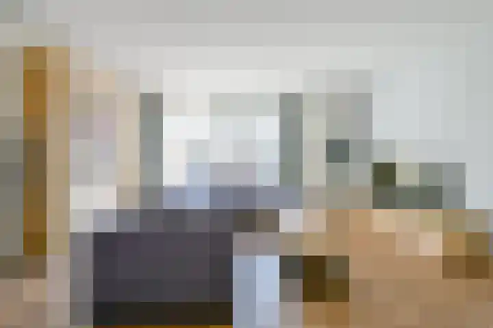 Steur 1 Schagen thumbnail 6