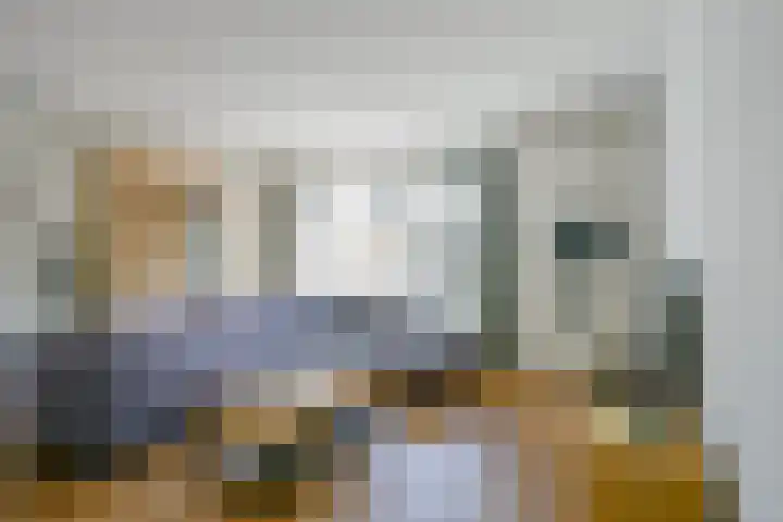 Steur 1 Schagen thumbnail 7