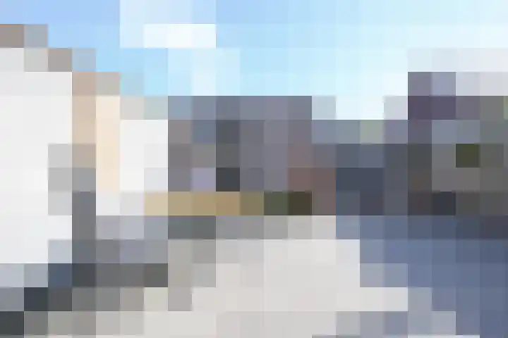 Steur 1 Schagen thumbnail 8
