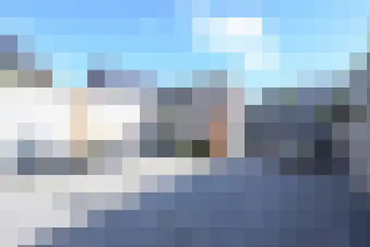 Steur 1 Schagen thumbnail 9