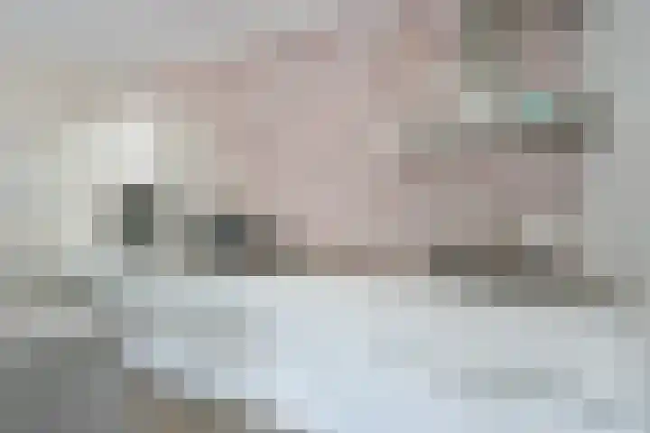 Steur 12 Schagen thumbnail 12