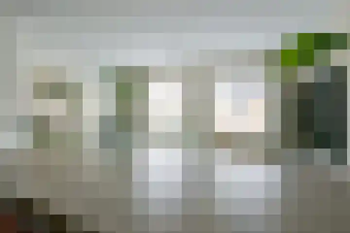 Steur 12 Schagen thumbnail 13