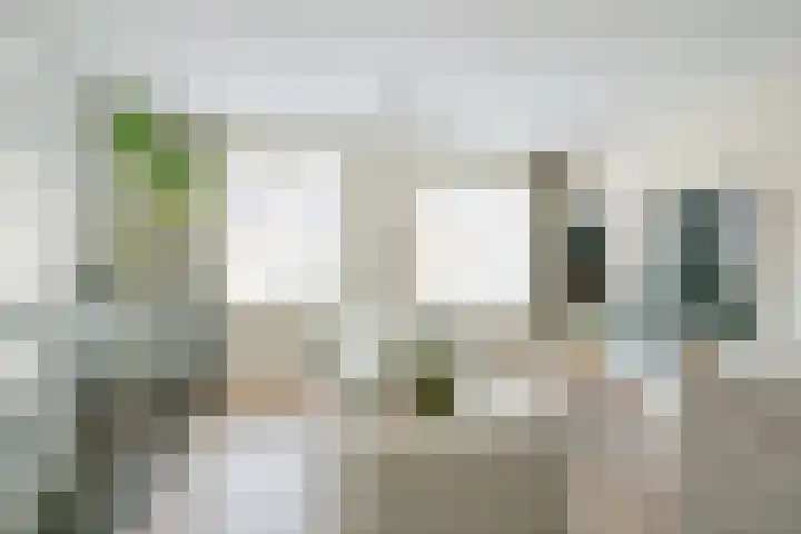 Steur 12 Schagen thumbnail 16