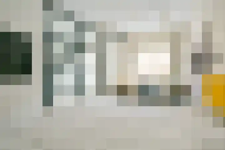 Steur 12 Schagen thumbnail 18
