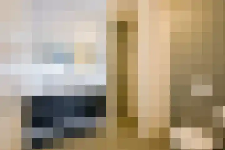 Steur 12 Schagen thumbnail 19