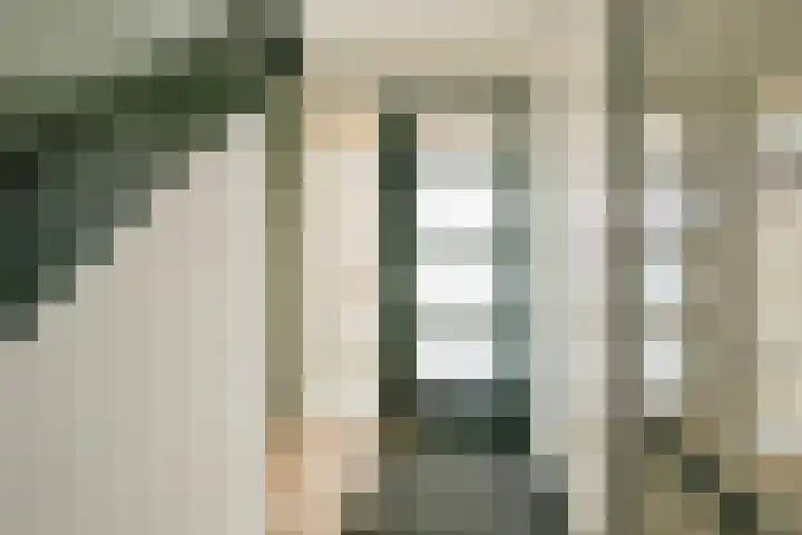 Steur 12 Schagen thumbnail 21