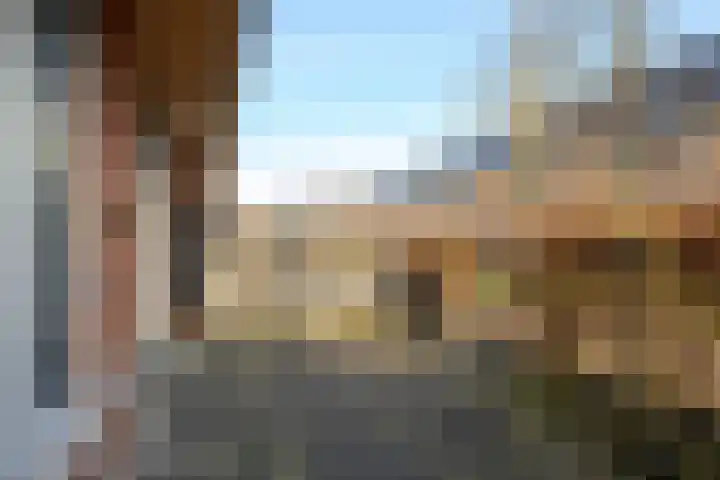 Steur 12 Schagen thumbnail 22
