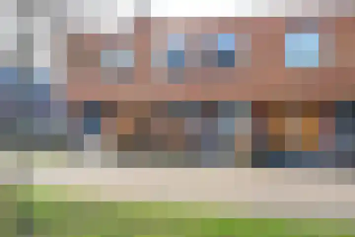 Steur 12 Schagen thumbnail 23